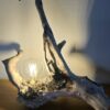 Lampe bouleau flotté