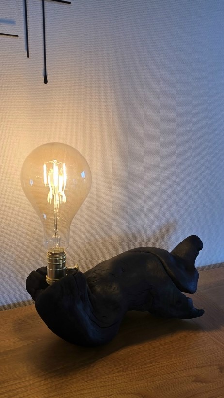 Lampe bois noir