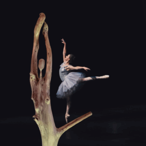 Danseuse bois